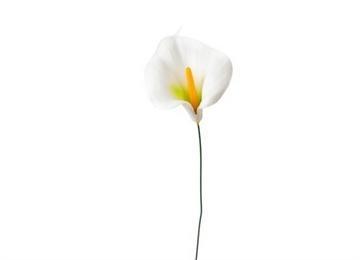 Plastik Calla 10 cm